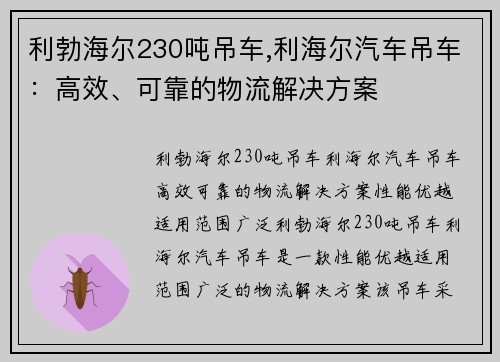 利勃海尔230吨吊车,利海尔汽车吊车：高效、可靠的物流解决方案