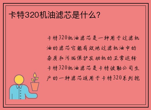 卡特320机油滤芯是什么？